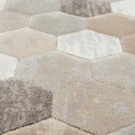 TEPIH RAGOLLE ARGENTUM 200X290 63456-9293