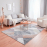 TEPIH RAGOLLE ARGENTUM 200X290 63484-3747