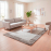 TEPIH RAGOLLE MEHARI 120X170 23042-6878